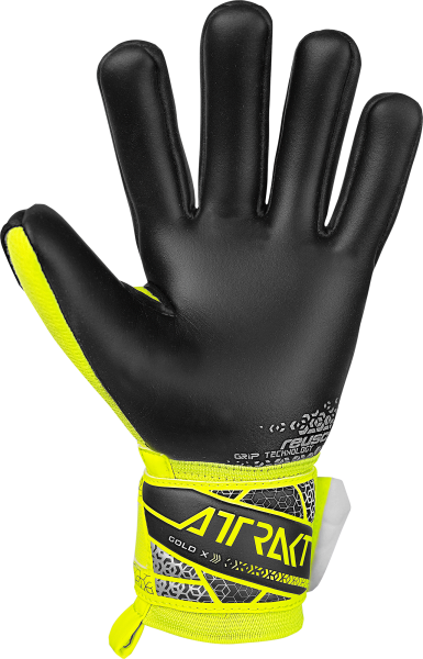 Reusch Attrakt Gold X NC Junior