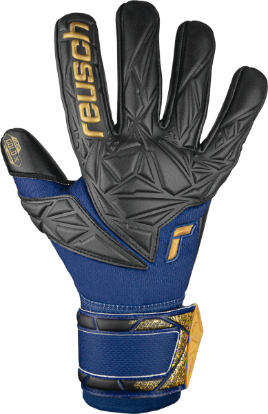 Reusch Attrakt Gold X NC
