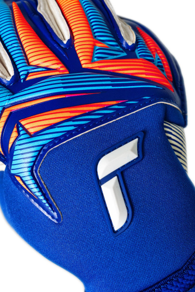 Reusch Attrakt Gold X Roll Finger