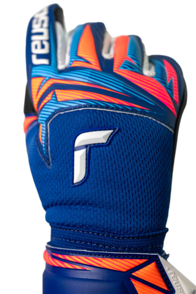 Reusch Attrakt Infinity Evolution NC Junior