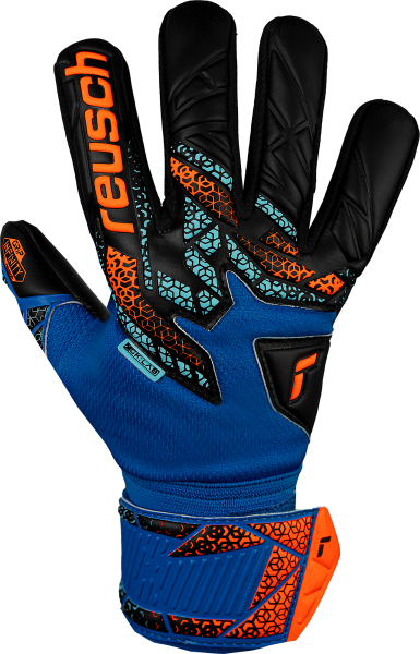 Reusch Attrakt Infinity NC Junior