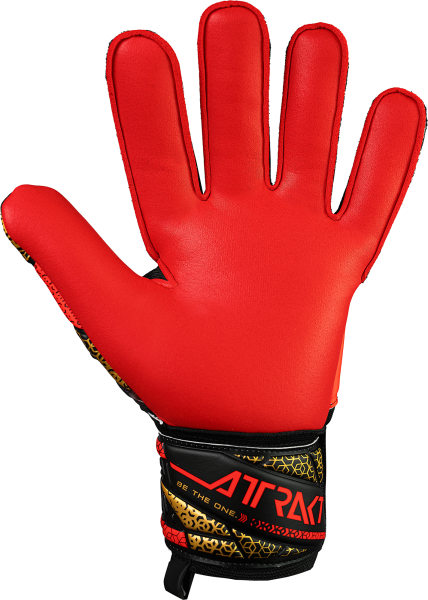 Reusch Attrakt Silver