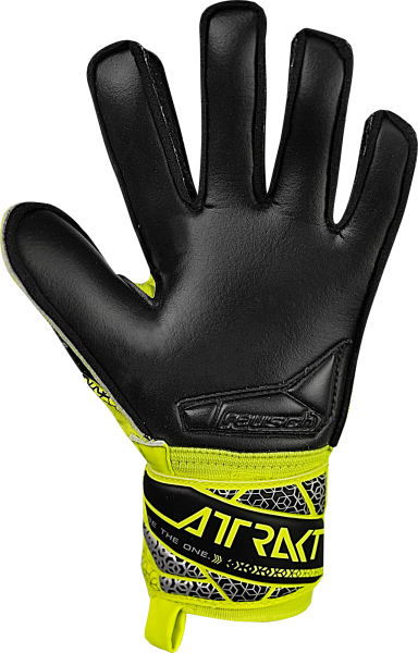 Reusch Attrakt Silver Junior