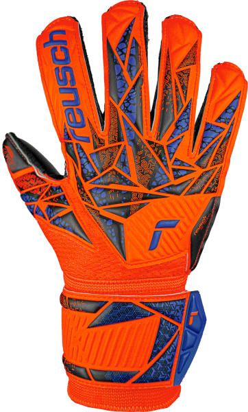 Reusch Attrakt Silver Junior