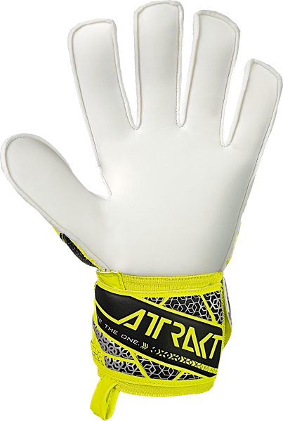 Reusch Attrakt Solid