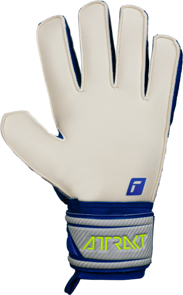 Reusch Attrakt Solid