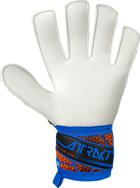 Reusch Attrakt Solid