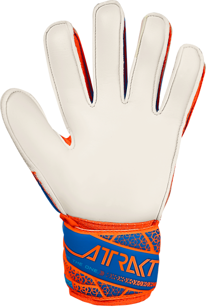 Reusch Attrakt Solid Junior