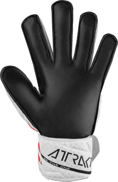 Reusch Attrakt Solid