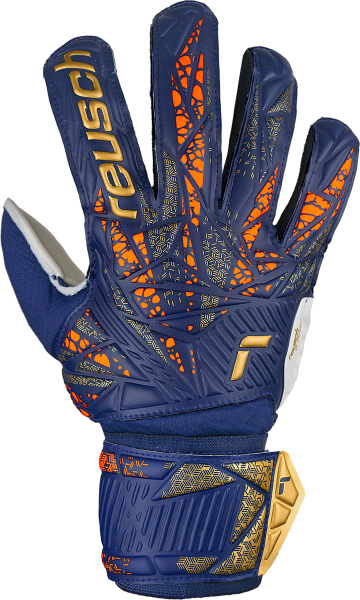 Reusch Attrakt Solid