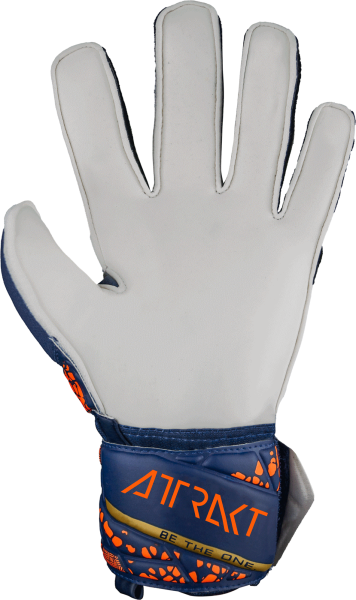 reusch Attrakt Solid