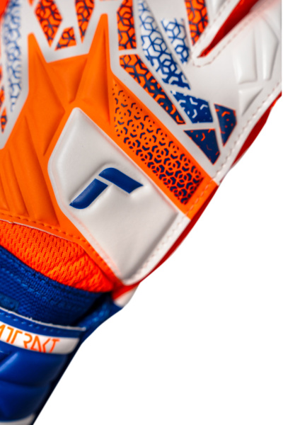 Reusch Attrakt Starter Solid