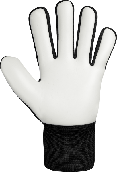 Reusch Attrakt Starter Solid