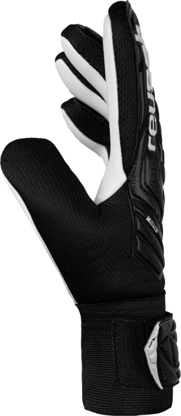Reusch Attrakt Starter Solid