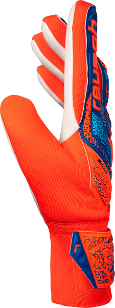 Reusch Attrakt Starter Solid