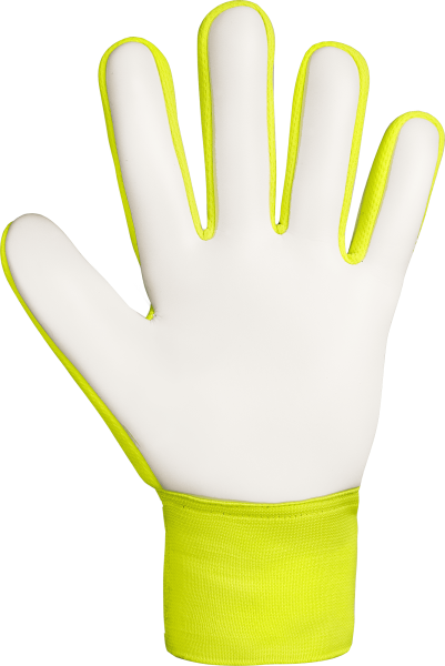 Reusch Attrakt Starter Solid