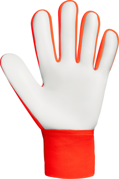 Reusch Attrakt Starter Solid