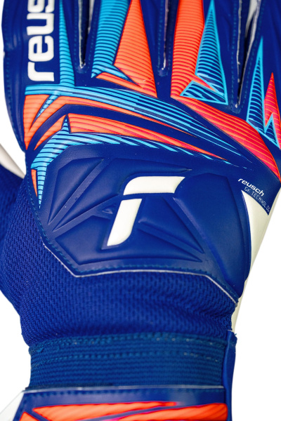 Reusch Attrakt Starter Solid