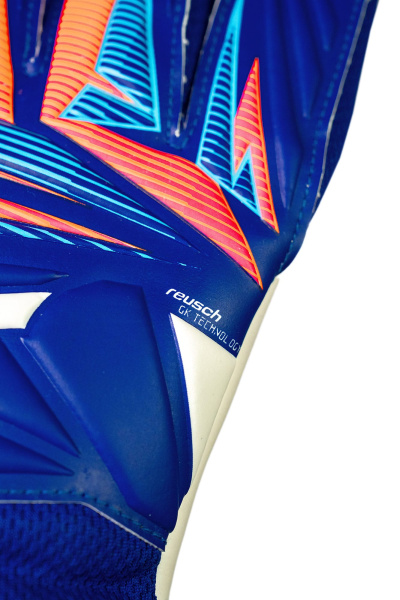 Reusch Attrakt Starter Solid