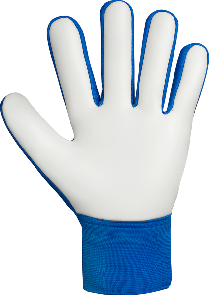 Reusch Attrakt Starter Solid Junior