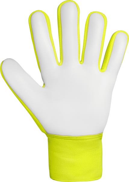 Reusch Attrakt Starter Solid Junior