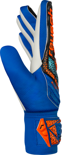 Reusch Attrakt Starter Solid Junior