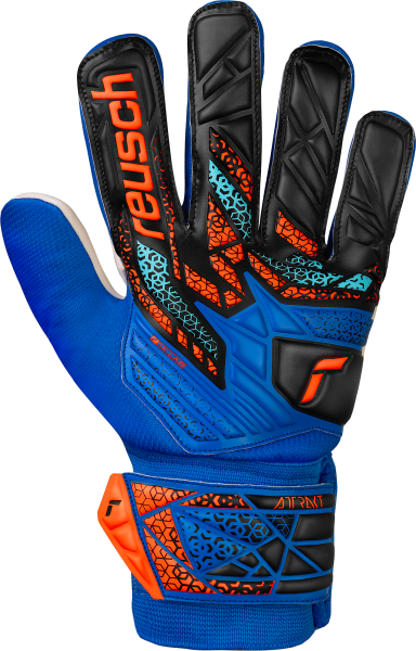 Reusch Attrakt Starter Solid Junior