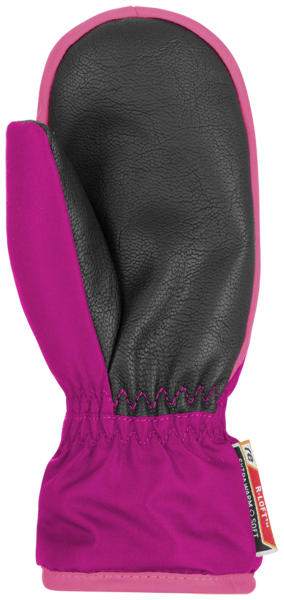 Reusch Reusch Ben Mitten