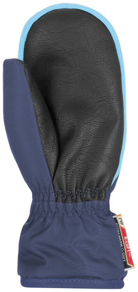 Reusch Reusch Ben Mitten