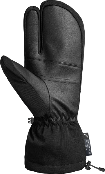 Reusch Reusch David R-TEX® XT Lobster