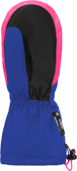 Reusch Reusch Maxi R-TEX® XT Mitten