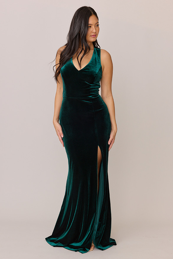 Revelry Asher Velvet Dress