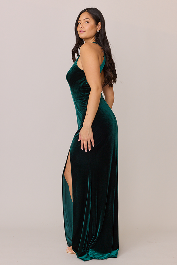 Revelry Asher Velvet Dress