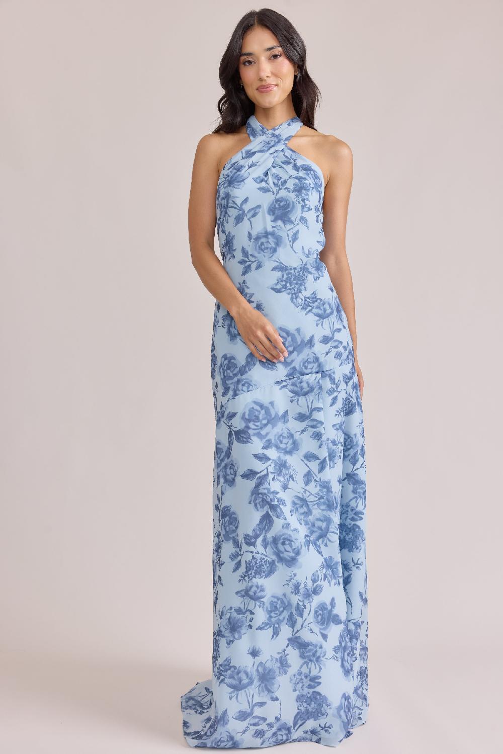 revelry Athena Chiffon Floral Print Dress