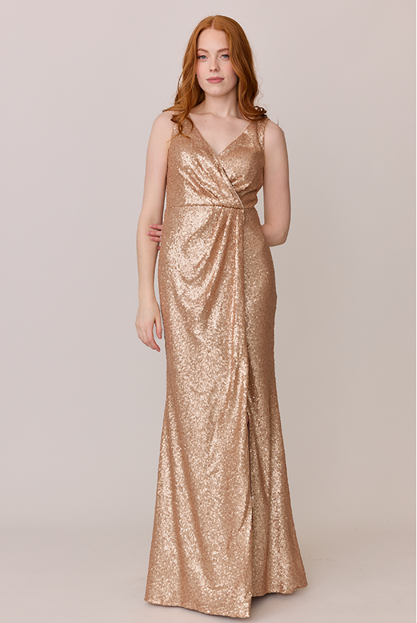 revelry Blair Sequin Dress