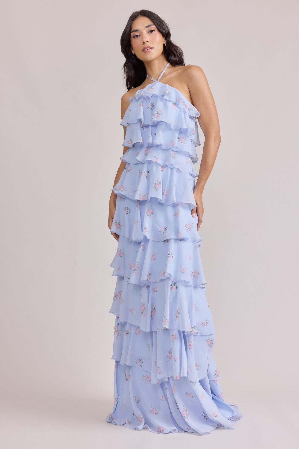 revelry Carrie Chiffon Floral Print Dress