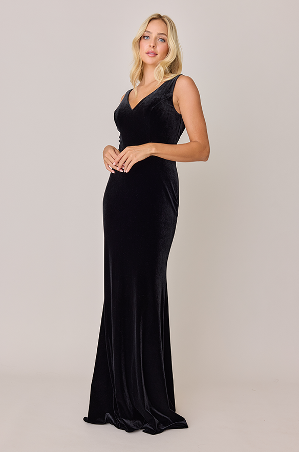 Revelry Dakota Velvet Dress