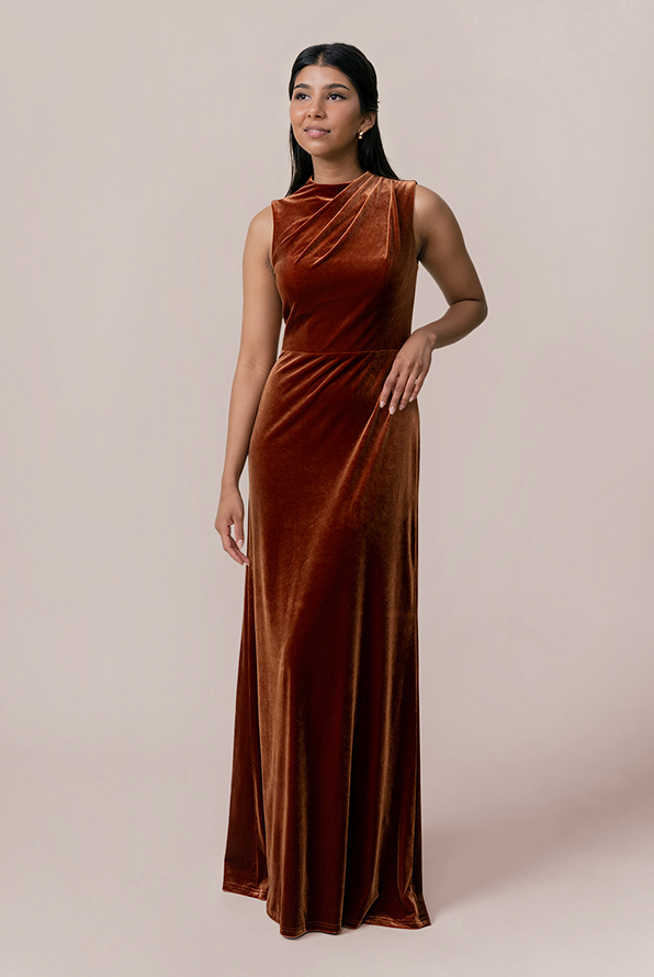 Revelry Diana Velvet Dress