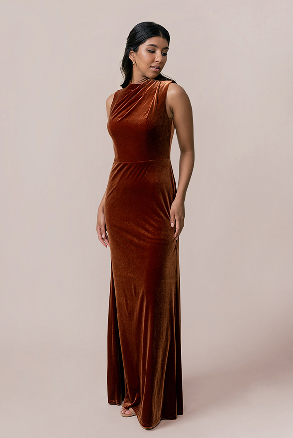 revelry Diana Velvet Dress