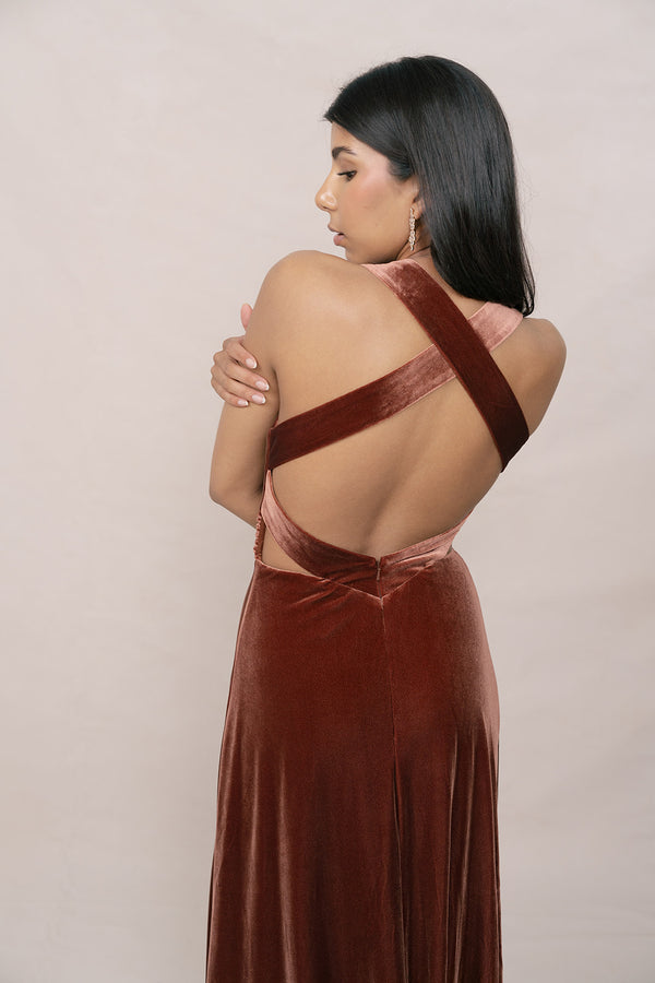 Revelry Dylan Velvet Dress