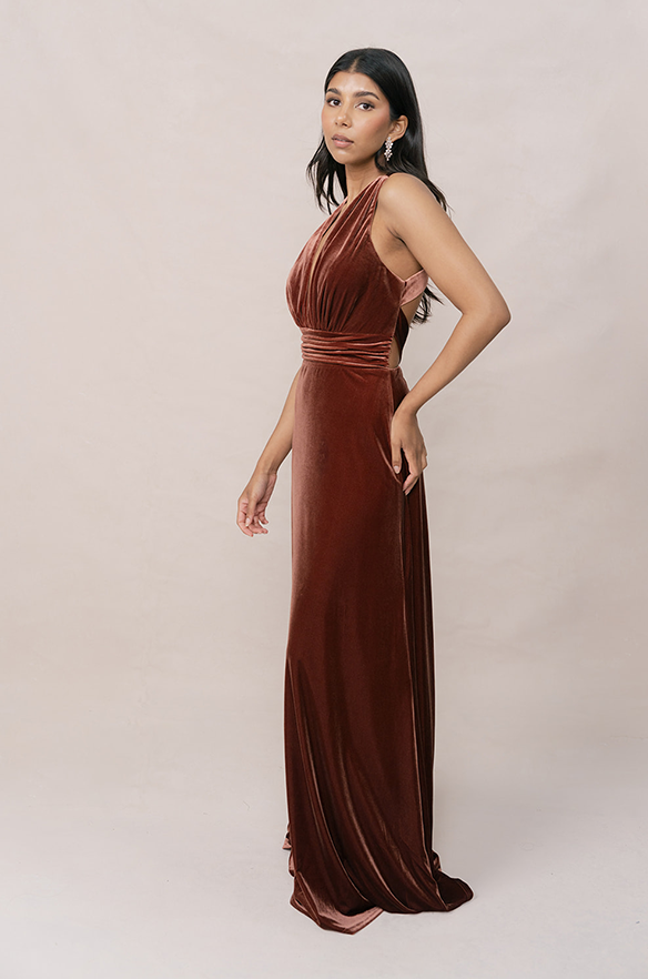 Revelry Dylan Velvet Dress