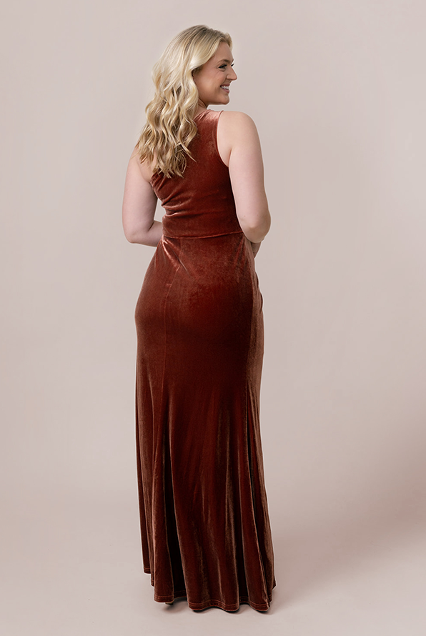 Revelry Florence Velvet Dress