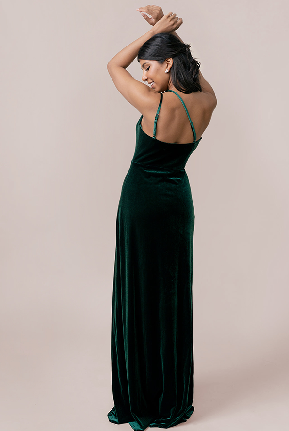 Revelry Inez Velvet Dress