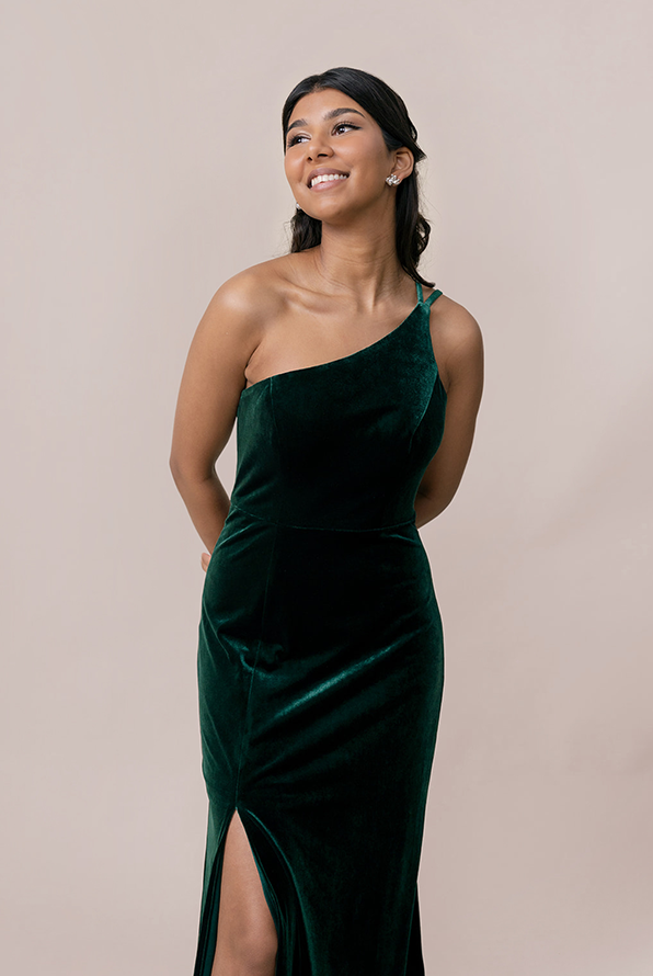Revelry Inez Velvet Dress