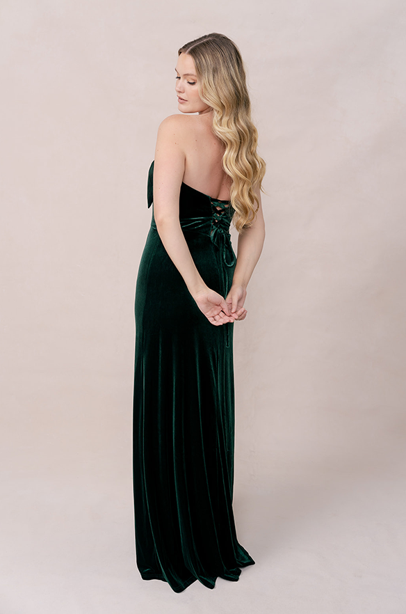 Revelry Monroe Velvet Dress
