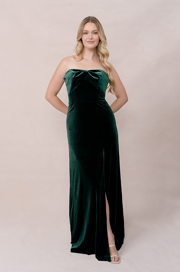 revelry Monroe Velvet Dress