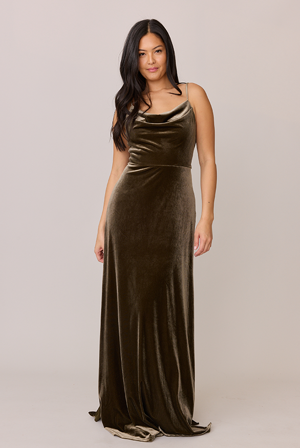 revelry Nadia Velvet Dress