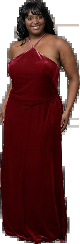 Revelry Sample Romantic Rose Everly Velvet Dress