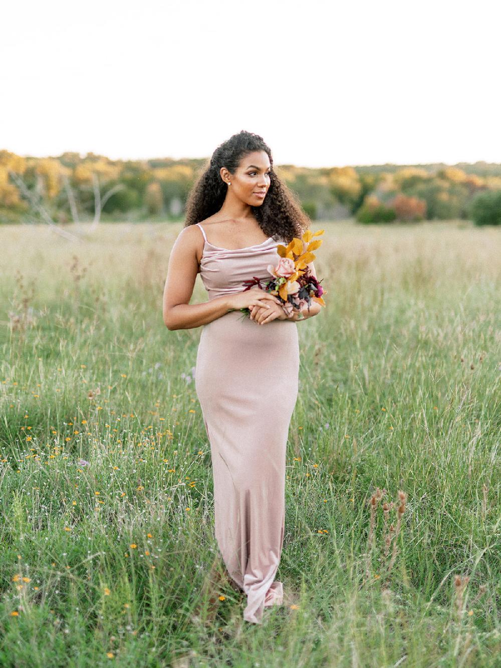 revelry Skye Velvet Dress