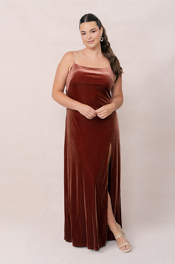 Revelry Steph Velvet Dress